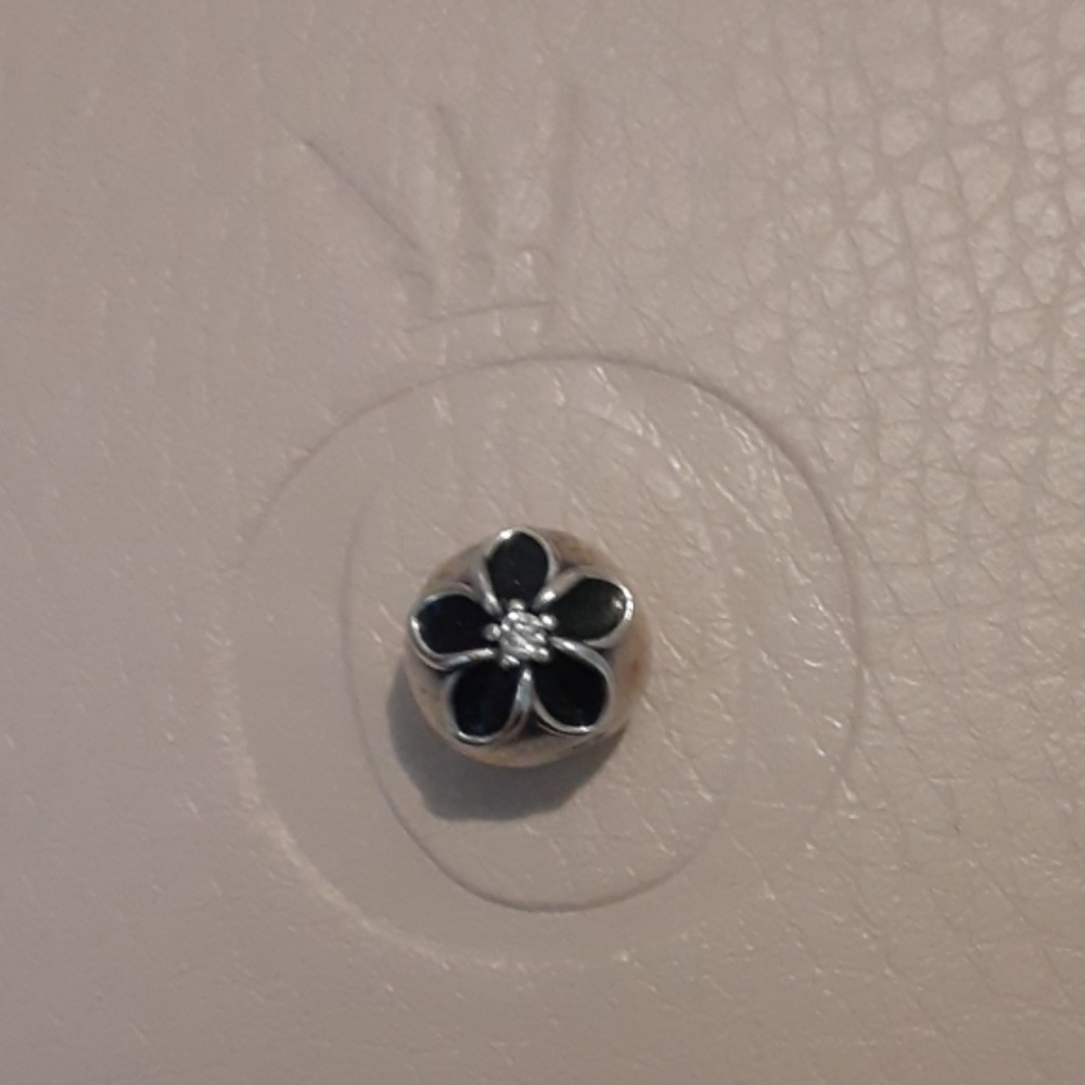 Authentic Pandora Charm!